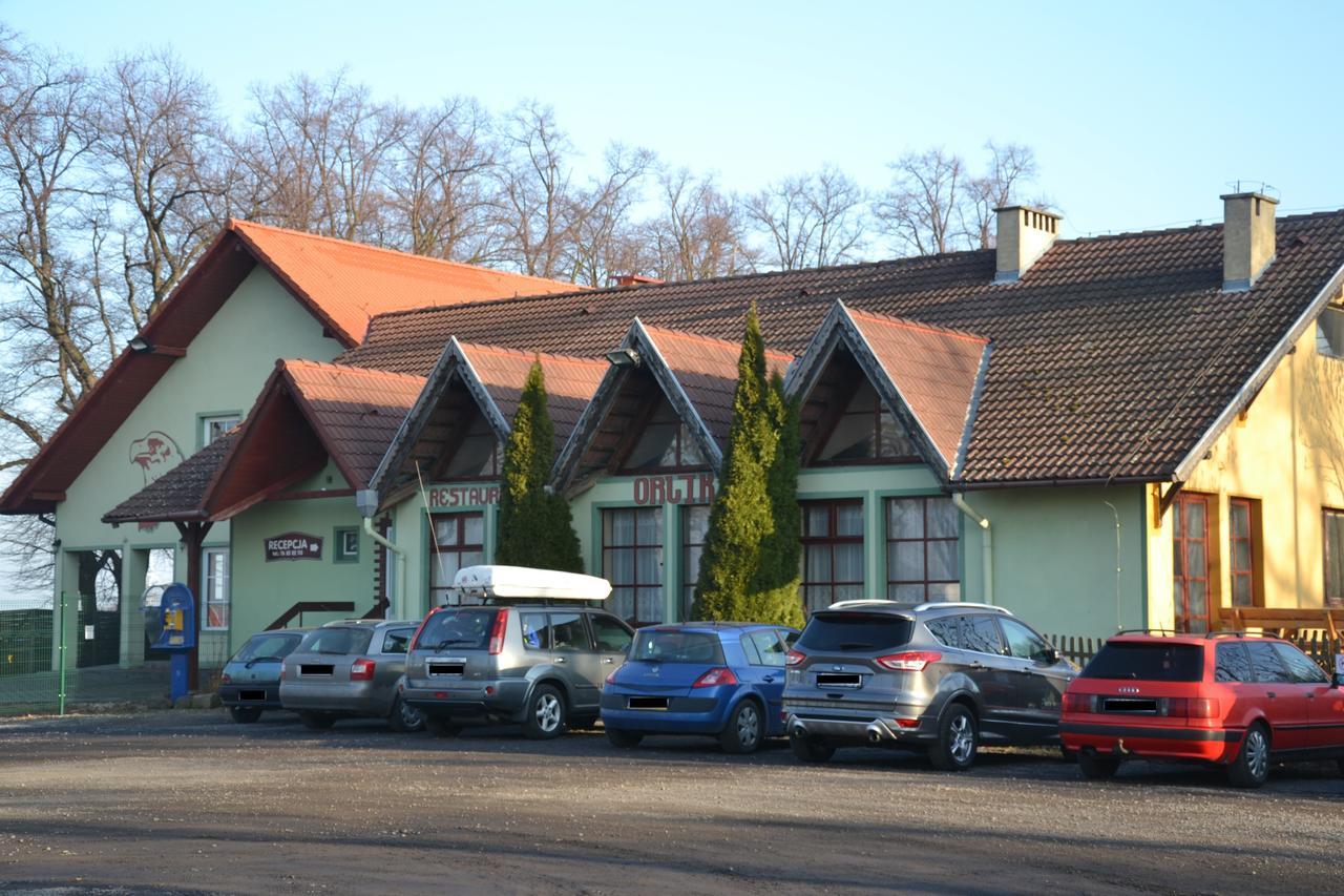 Hotelik Orlik Legnickie Pole Dış mekan fotoğraf